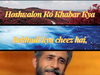 होशवालों को ख़बर क्या बेख़ुदी क्या चीज़ है